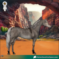 Horse Color:Void Silver Brown Roan Dun Tobiano Rabicano 