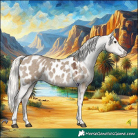 Horse Color:Silver Grullo Tobiano Appaloosa 