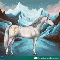 Horse Color:Nacre Silver Brown Dun Tobiano Appaloosa Rabicano 