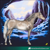 Horse Color:White Spotted Silver Brown Dun Tobiano Varnish 