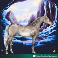 Horse Color:White Spotted Silver Brown Dun Tobiano Appaloosa 