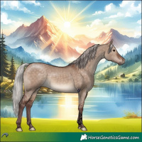 Horse Color:Void Chocolate Silver Brown Dun Tobiano Rabicano 