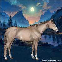 Horse Color:Black Pearl Sabino 