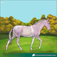Horse Color:Watercolor Chocolate Palomino Pearl Tobiano Frame  and Watercolor Chocolate Palomino Pearl Tobiano 