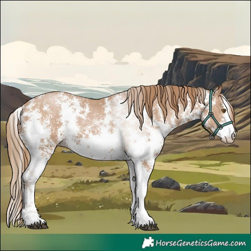 Horse Color:Black Pearl Sabino 