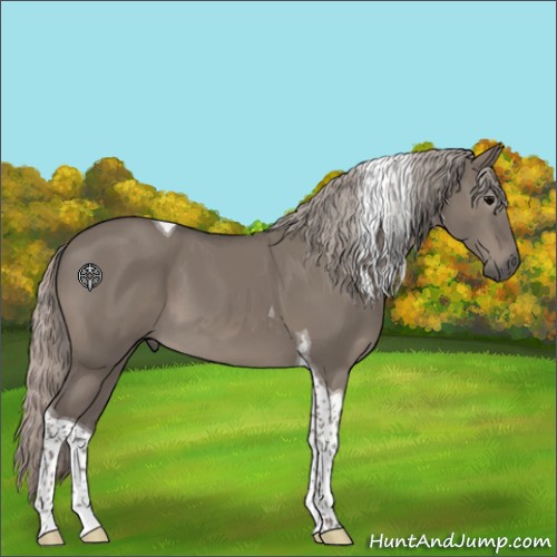 Horse Color:Silver Grullo Tobiano 