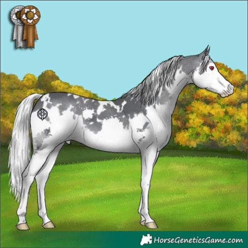 Horse Color:White Spotted Silver Black Chinchilla Splash 