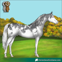 Horse Color:White Spotted Silver Black Chinchilla Splash 