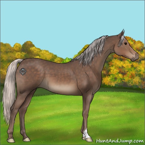 Horse Color:Silver Black 