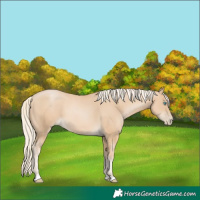 Horse Color:Palomino Pearl