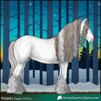 Horse Color:Gray Black Pearl Sabino Rabicano 