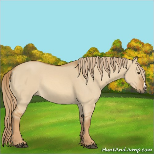 Horse Color:Red Dun 