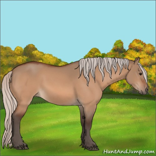Horse Color:Silver Bay Dun 