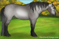 Horse Color:Gray Grullo Sabino Rabicano 