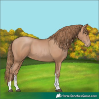 Horse Color:Black Pearl Sabino Tobiano 