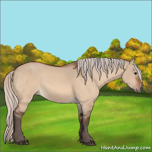 Horse Color:Silver Bay Dun 