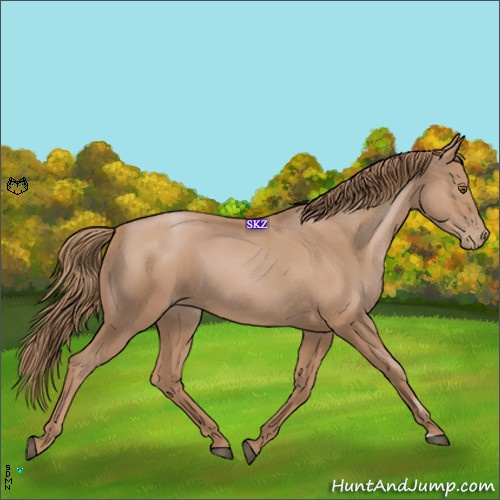 Horse Color:Black Pearl Sabino