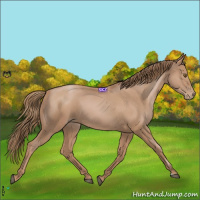 Horse Color:Black Pearl Sabino