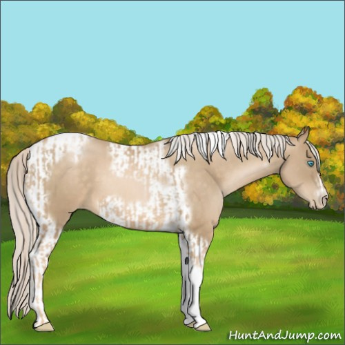 Horse Color:Chocolate Palomino Pearl Tobiano Frame and Chocolate Palomino Pearl Tobiano Frame