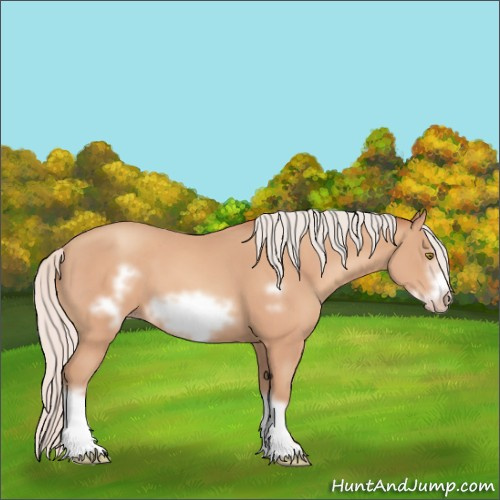 Horse Color:Silver Amber Champagne Frame 