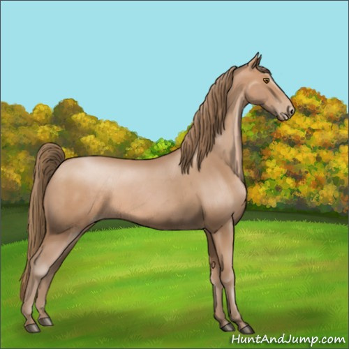 Horse Color:Black Pearl Sabino 