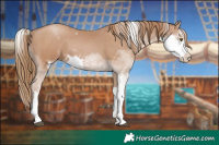 Horse Color:Black Pearl Sabino 