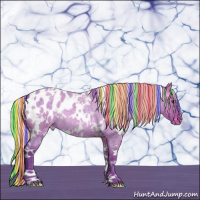 Horse Color:Painted Watercolor White Spotted Silver Brown Roan Dun Blanket 