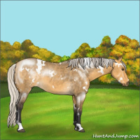 Horse Color:White Spotted Silver Buckskin Dun 