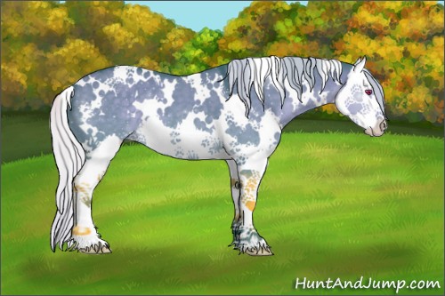 Horse Color:Watercolor White Spotted Silver Grullo Chinchilla Splash 