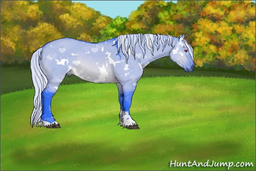 Horse Color:Watercolor White Spotted Silver Brown Chinchilla Dun Sabino Rabicano 