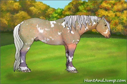 Horse Color:Watercolor White Spotted Silver Brown Rabicano 
