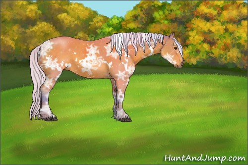 Horse Color:Watercolor White Spotted Silver Bay Ice 