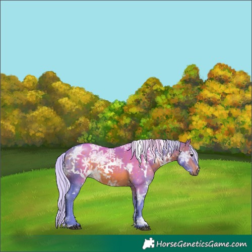 Horse Color:Watercolor White Spotted Silver Bay Ice 