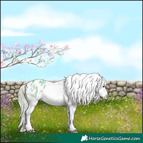 Horse Color:Watercolor White Spotted Silver Brown Dun Tobiano Blanket Rabicano Brindle 