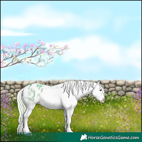 Horse Color:Watercolor White Spotted Silver Brown Dun Tobiano Appaloosa Rabicano Brindle 