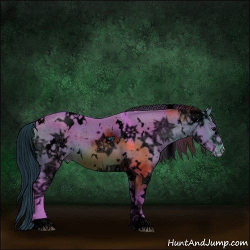 Horse Color:ERROR: UNKNOWN ANOMALY