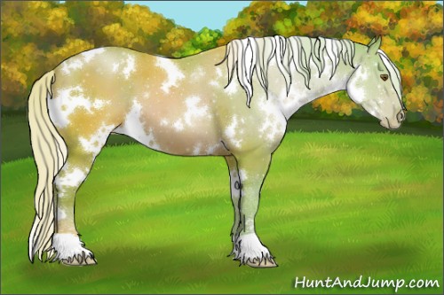 Horse Color:Watercolor White Spotted Silver Brown Pearl 