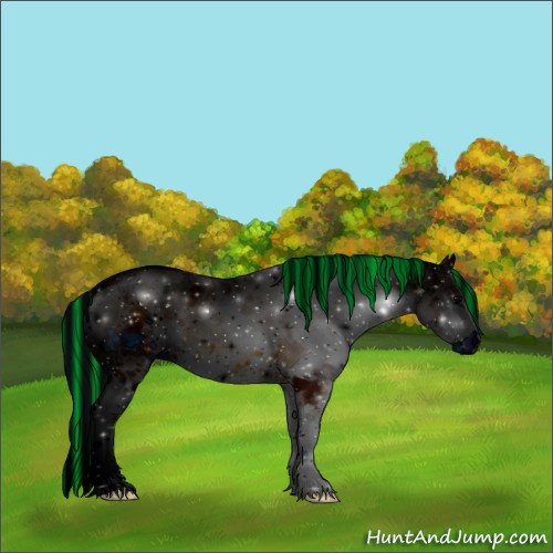 Horse Color:ERROR: UNKNOWN ANOMALY