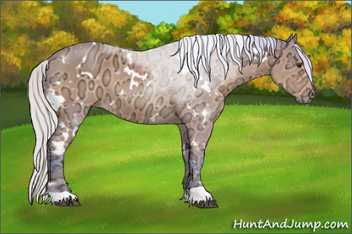 Horse Color:Watercolor White Spotted Silver Bay Ice 