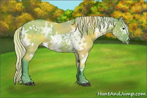 Horse Color:Watercolor White Spotted Silver Grullo Ice 