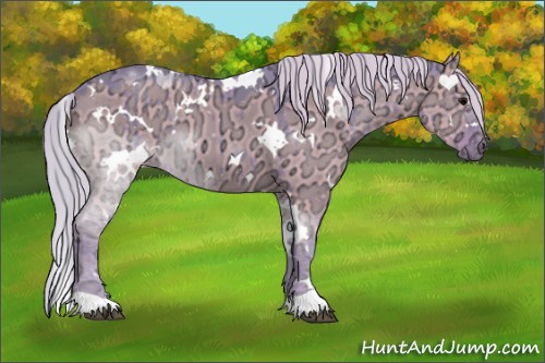 Horse Color:Watercolor White Spotted Silver Grullo Ice Brindle 