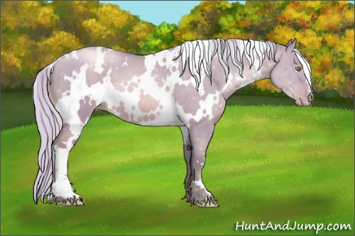 Horse Color:Watercolor White Spotted Silver Brown Pearl Dun 