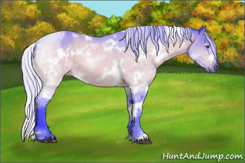 Horse Color:Watercolor White Spotted Silver Brown Chinchilla 