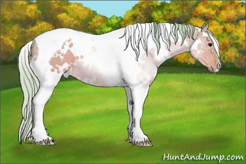 Horse Color:Watercolor White Spotted Silver Grullo Tobiano 