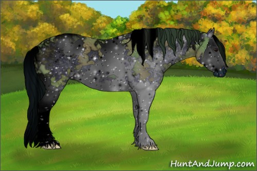 Horse Color:ERROR: UNKNOWN ANOMALY