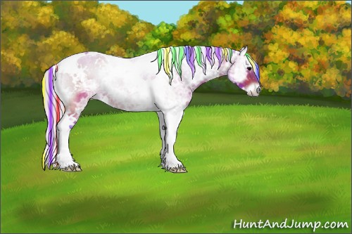 Horse Color:Painted Watercolor White Spotted Silver Bay Ice Onyx Tobiano Rabicano 