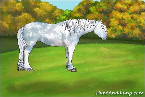 Horse Color:Watercolor White Spotted Silver Grullo Chinchilla Tobiano 