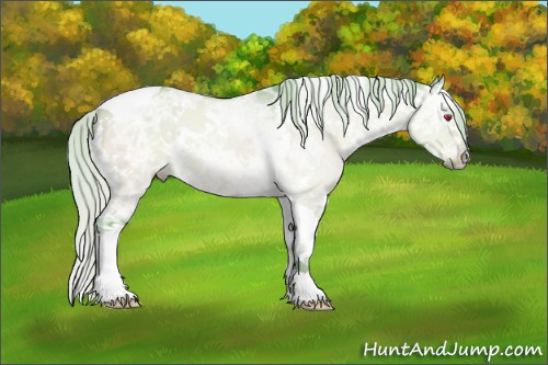Horse Color:Watercolor White Spotted Silver Brown Chinchilla Ice Dun Tobiano Rabicano 