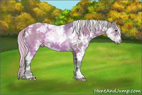 Horse Color:Watercolor White Spotted Silver Brown Ice Dun Rabicano 