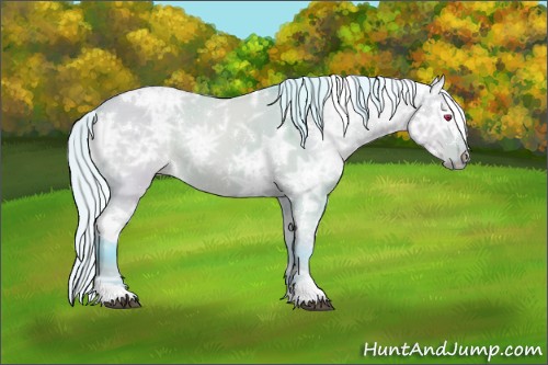 Horse Color:Watercolor White Spotted Silver Brown Chinchilla Ice Dun Rabicano 